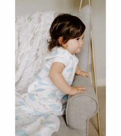 Aden + Anais Classic Sleeping Bag - Harry Potter - Small (0-6 Months) -Britax || Little Unicorn || Graco Shop aden anais classic sleeping bag harry potter small 0 6 months 141