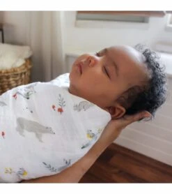 Aden + Anais Classic Swaddle Wraps, 4 Pack - Naturally 7 Aden + Anais Classic Swaddle Wraps, 4 Pack - Naturally -Britax || Little Unicorn || Graco Shop aden anais classic swaddle wraps 4 pack naturally 96