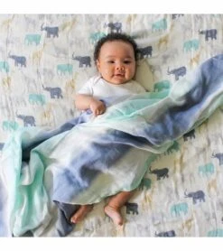 Aden + Anais Silky Soft Swaddle - 3 Pack - Expedition 9 Aden + Anais Silky Soft Swaddle - 3 Pack - Expedition -Britax || Little Unicorn || Graco Shop aden anais silky soft swaddle 3 pack expedition 148