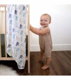 Aden + Anais Silky Soft Swaddle - 3 Pack - Expedition 11 Aden + Anais Silky Soft Swaddle - 3 Pack - Expedition -Britax || Little Unicorn || Graco Shop aden anais silky soft swaddle 3 pack expedition 150