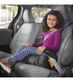 Chicco GoFit Plus Belt Positioning Booster Car Seat - Iron -Britax || Little Unicorn || Graco Shop chicco gofit plus belt positioning booster car seat stream 22