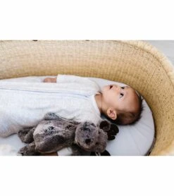 Copper Pearl Sleep Bag - Oat, 6-12M -Britax || Little Unicorn || Graco Shop copper pearl sleep bag oat 6 12m 88