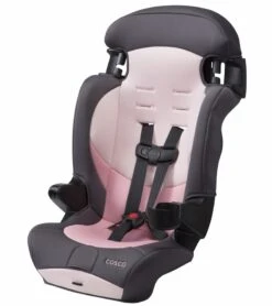 Cosco Finale DX 2-in-1 Harness Booster Car Seat - Sweetberry