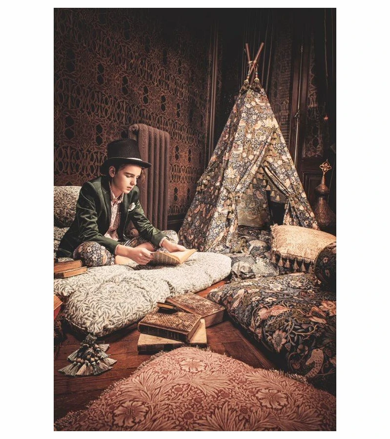 DockATot Tent Of Dreams - Strawberry Thief 4 DockATot Tent Of Dreams - Strawberry Thief - Image 4