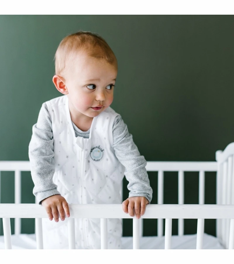 Dreamland Baby Dream Weighted Sleep Sack, 12-24 Months 4 Dreamland Baby Dream Weighted Sleep Sack, 12-24 Months - Image 4