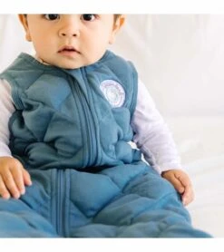 Dreamland Baby Dream Weighted Sleep Sack - Ocean Blue, 6-12 Months -Britax || Little Unicorn || Graco Shop dreamland baby dream weighted sleep sack ocean blue 6 12 months 100