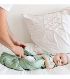 Dreamland Baby Dream Weighted Swaddle (Gen 2) - Sage Green, 0-6 Months -Britax || Little Unicorn || Graco Shop dreamland baby dream weighted swaddle gen 2 sage green 0 6 months 132