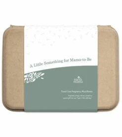 Earth Mama A Little Something For Mama-to-Be Gift Set