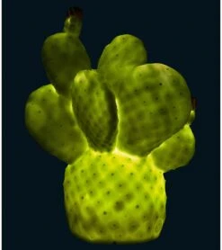 Goodnight Light Cactus Lamp - Pale Green -Britax || Little Unicorn || Graco Shop goodnight light cactus lamp pale green 191