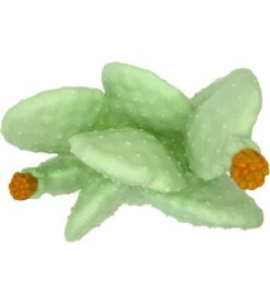 Goodnight Light Cactus Lamp - Pale Green -Britax || Little Unicorn || Graco Shop goodnight light cactus lamp pale green 192