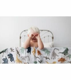 Little Unicorn Cotton Muslin Swaddle 3 Pack - Dino Friends 2 Set 11 Little Unicorn Cotton Muslin Swaddle 3 Pack - Dino Friends 2 Set -Britax || Little Unicorn || Graco Shop little unicorn cotton muslin swaddle 3 pack dino friends 2 set 141