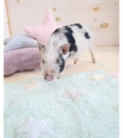 Lorena Canals Tricolor Stars Rug - Soft Mint (4' X 5' 3") -Britax || Little Unicorn || Graco Shop lorena canals tricolor stars rug soft mint 4 x 5 3 222