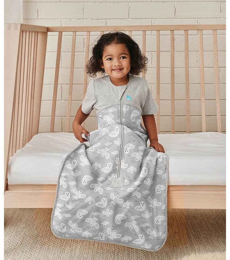 Love To Dream Short Sleeve Sleep Bag Organic Cotton Mild, 6-18 M - Doves Grey 2 Love To Dream Short Sleeve Sleep Bag Organic Cotton Mild, 6-18 M - Doves Grey - Image 2