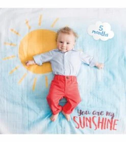 Mary Meyer Lulujo Baby's First Year Blanket & Cards Set - You Are My Sunshine
