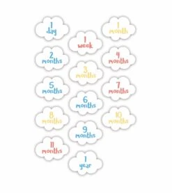 Britax || Little Unicorn || Graco Shop -Britax || Little Unicorn || Graco Shop lulujo baby s first year blanket cards set you are my sunshine 75