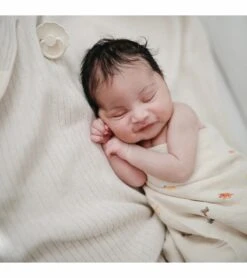 Mushie Organic Cotton Muslin Swaddle Blanket - Dinosaurs 5 Mushie Organic Cotton Muslin Swaddle Blanket - Dinosaurs -Britax || Little Unicorn || Graco Shop mushie organic cotton muslin swaddle blanket dinosaurs 9