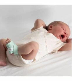 Owlet Dream Duo Smart Baby Monitoring System 11 Owlet Dream Duo Smart Baby Monitoring System -Britax || Little Unicorn || Graco Shop owlet dream duo smart baby monitoring system 148