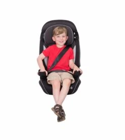 Safety 1st Grand 2-in-1 Harness Booster Car Seat - Black Sparrow -Britax || Little Unicorn || Graco Shop safety 1st grand 2 in 1 harness booster car seat black sparrow 12