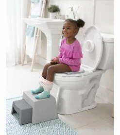 Skip Hop Double-Up Step Stool - Grey -Britax || Little Unicorn || Graco Shop skip hop double up step stool grey 122