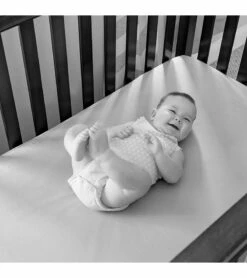 Summer Infant Baby Pixel Cadet 4.3 Inch Color Video Monitor -Britax || Little Unicorn || Graco Shop summer infant baby pixel cadet 4 3 inch color video monitor 155