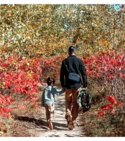 WAYB Pico Forward Facing Travel Car Seat - Woodland (Albee Exclusive Color, 2020 Model) -Britax || Little Unicorn || Graco Shop wayb pico forward facing travel car seat woodland albee exclusive color 2020 model 44